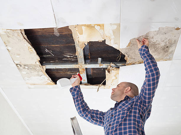 Best Commercial Mold Inspection  in Spry, PA